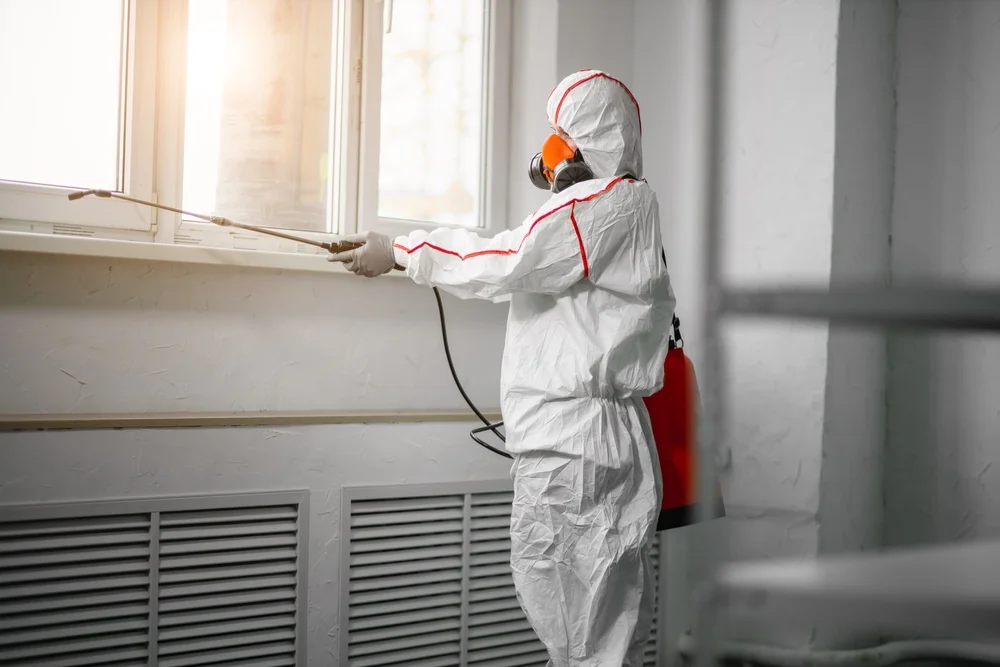 Professional mold remediation services in Wheat Ridge, CO